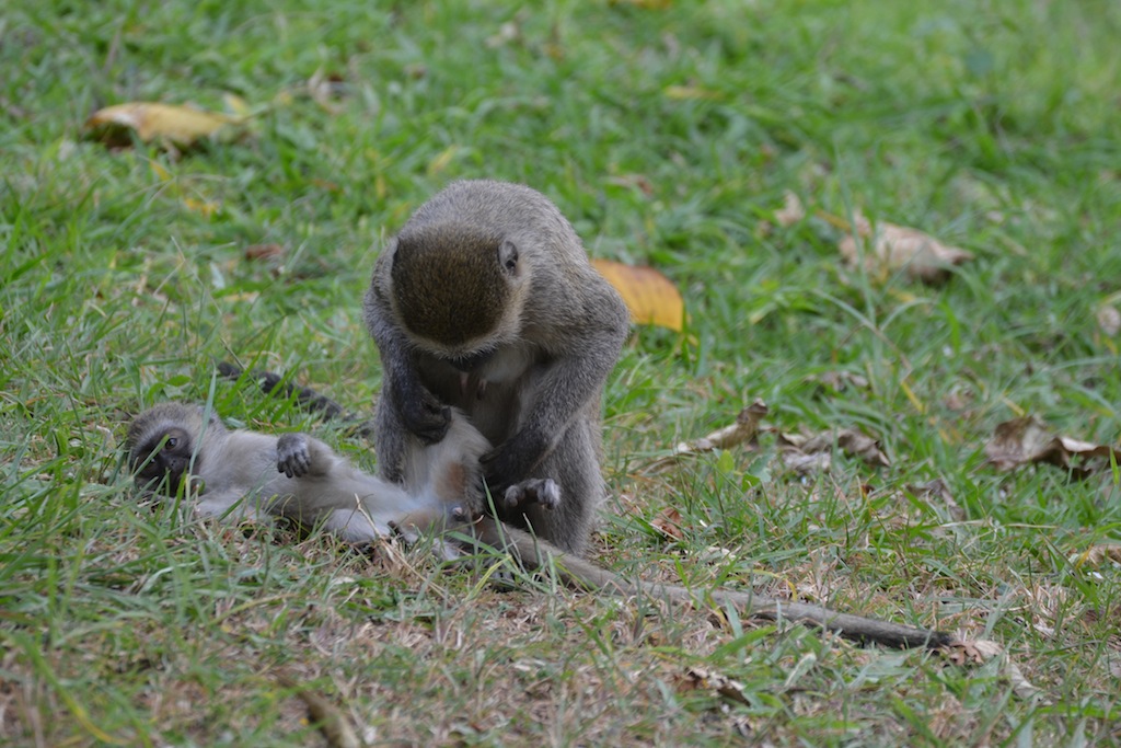 Da wird mal genau nachgekuckt...