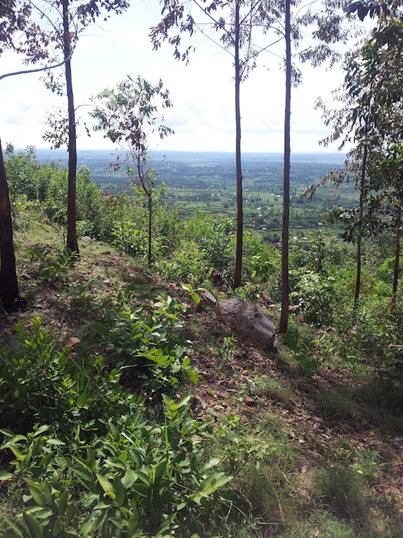 So weit der Blick...