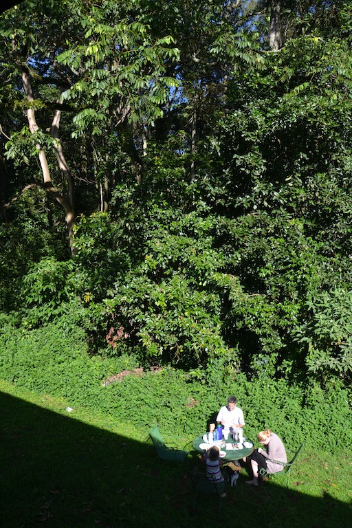 Frühstück am Rand des Regenwaldes