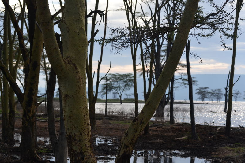 Das Wasser ist gestiegen