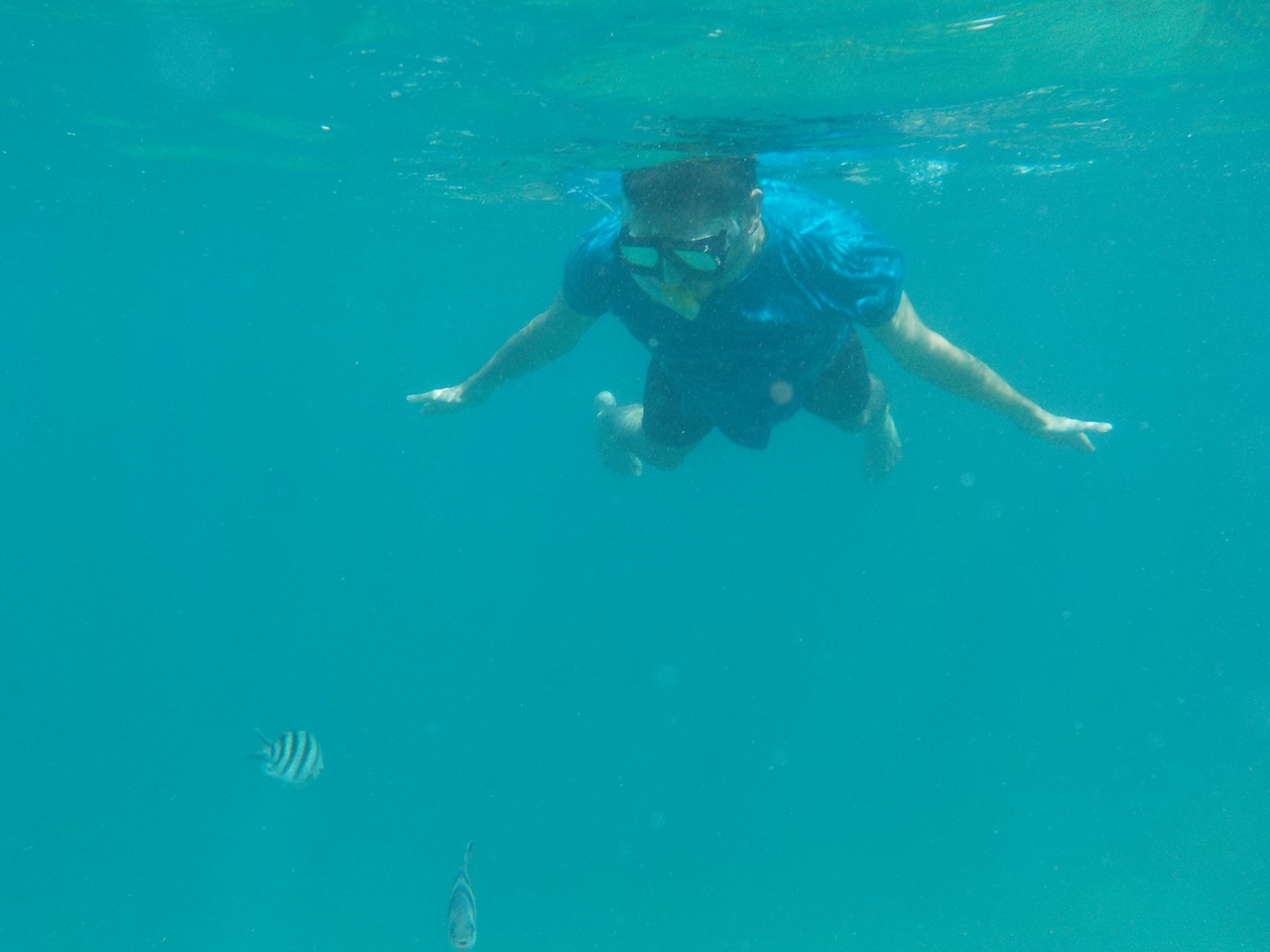 Fisch - Jan, Jan - Fisch