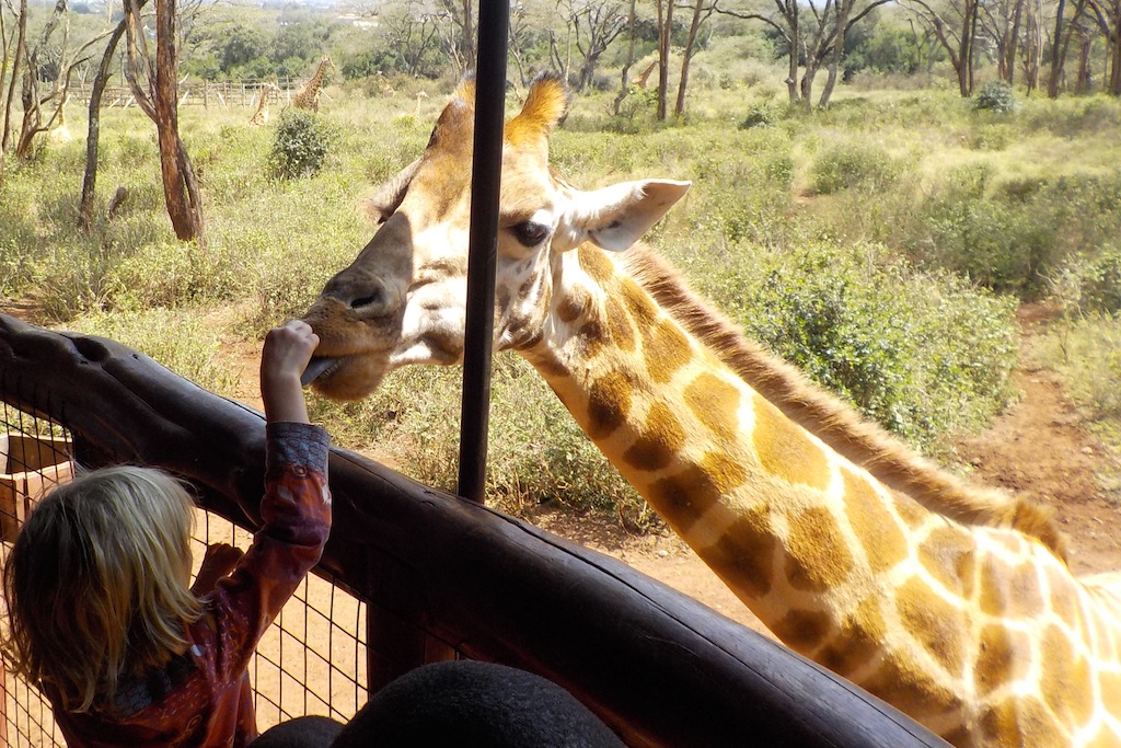 Im Giraffenpark