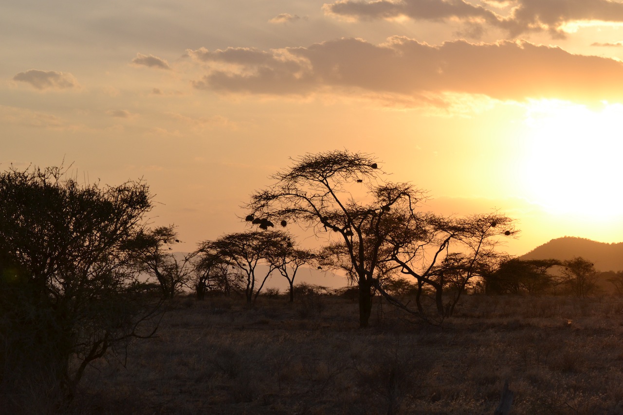 Samburu und Naivasha 371