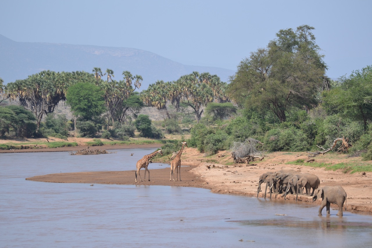 Samburu und Naivasha 505