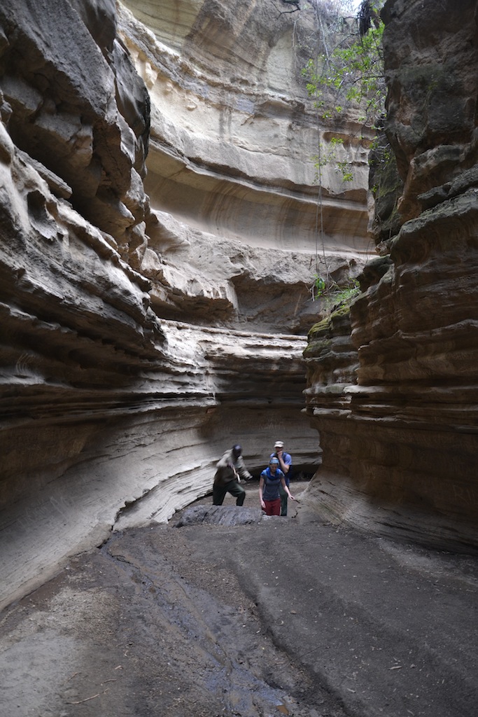 Samburu und Naivasha 640