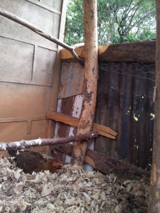 Und Bella sitzt und sitzt...